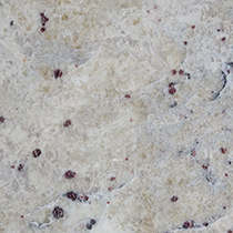 5 Granites For Gorgeous Kitchen Countertops - bianco